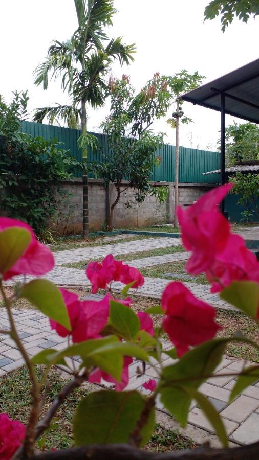 Thomasha Homestay Wellawaya Bagian luar foto